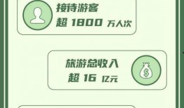 平湖网红大爆料最新消息,揭秘幕后真相，带你走进网红圈