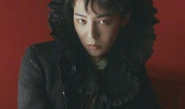 权志龙最新爆料,独家爆料背后的故事与感悟